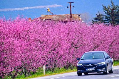 İznik Ovası’nda bahar şöleni