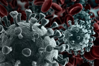 Posalı ve yüksek lifli besinler, kanser riskini azaltıyor