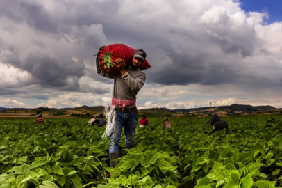 Bursa Yenişehir'de tarımı geliştiren, sanayi ve ticareti büyüten anlayış hakim
