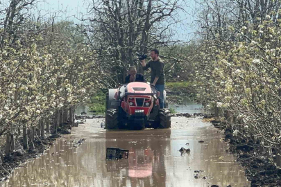 Bursa’da yüzlerce dönüm şeftali ve armut bahçesi su altında