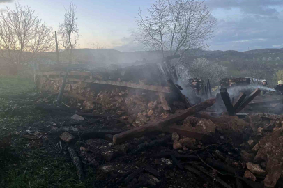 Bursa’da 2 katlı ev alevlere teslim oldu