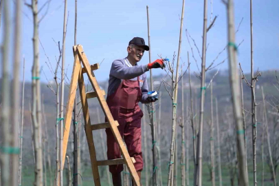 Kestel’de bahar mesaisi