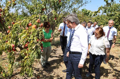 BUÜ, ziraat ve ormancılık alanında dünyada ilk 500’de