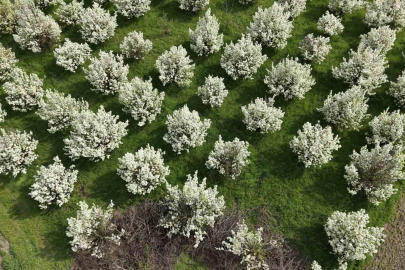 İnegöl’de kartpostallık görüntüler