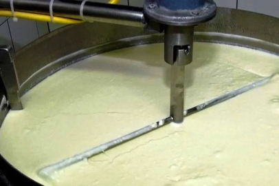 Süt ürünlerinde üretim artışı sürdü