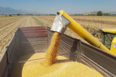 Mısır ithalatına 3 milyon tonluk tarife