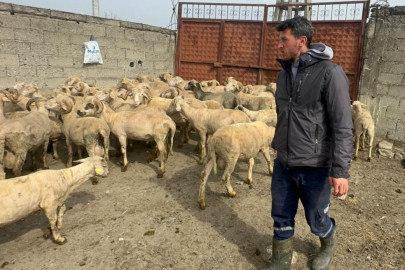 Kurbanlık parasıyla evlenmişti şimdi doğacak bebeği için kullanacak