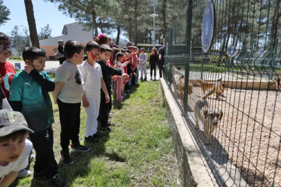Bursa'da çocuklar patili dostlarla buluştu