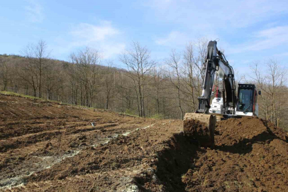 Nilüfer’de atıl araziler bereketleniyor