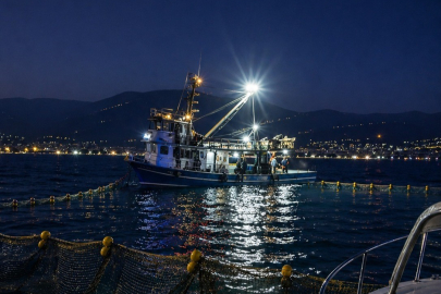 Gemlik Körfezi’nde sardalya avcılığı başladı
