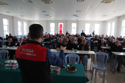 Bursa’da zeytinde yeni dönem