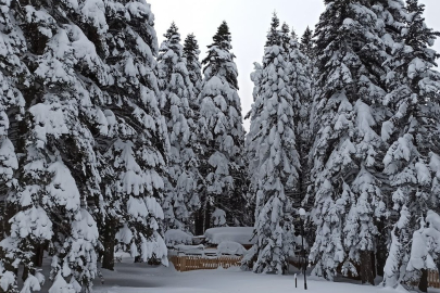 Mayısta kar sürprizi yaşanacak
