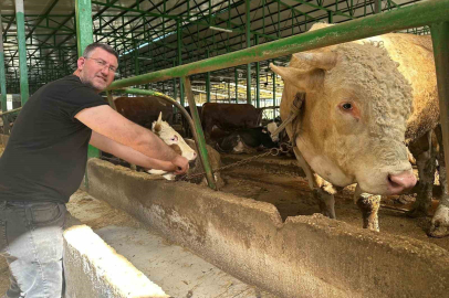 Bursa’da kurban hareketliliği: Tonluk boğayı 400 bin liraya sattı