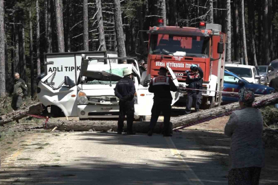 Uludağ’da inanılmaz olay...Kesilen ağaç seyir halindeki kamyonetin üzerine devrildi: 1 ölü