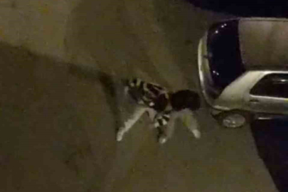 Bursa’da sokak ortasında boks ringlerini aratmayan kavga kamerada