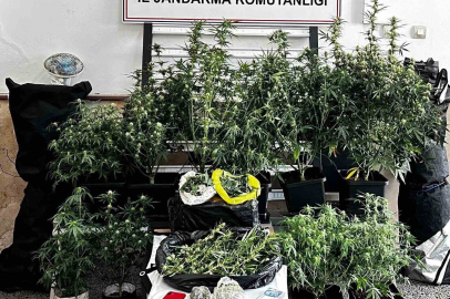 Osmangazi’de uyuşturucu operasyonu!