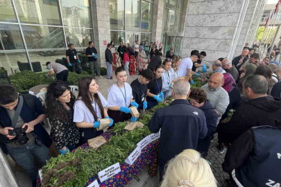 120 bin fide toprakla buluşuyor