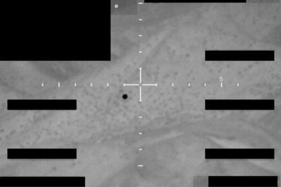 Pentagon, UFO dosyalarını yayınlamaya başladı