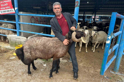 Bursa’daki kurbanlık pazarında hareketlilik