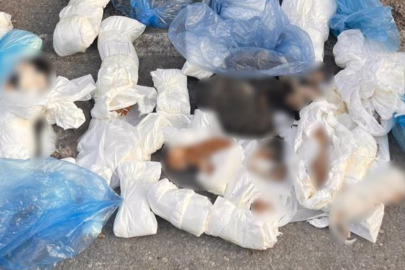 33 cana kıymışlar! İzmir'de akıl almaz olay...