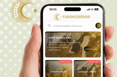 Bakanlık uyardı! Küpe sorgulama yapmadan alışveriş yapmayın