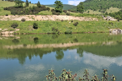 Serinlemek İçin Girdiği Gölet Sonu Oldu