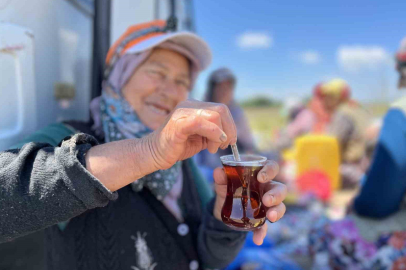 Tarlada yoruluyorlar odun ateşinde matarada çayla dinleniyorlar