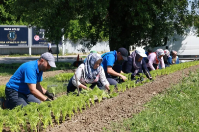 Osmangazi’de Renkli Peyzaj Çalışmaları