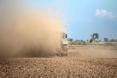 Karacabey Ovası’nda çeltik mesaisi sürüyor