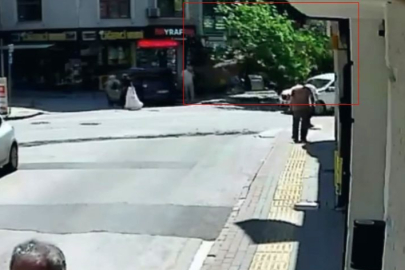 150 yıllık çınar böyle devrildi