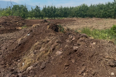 Organik gübre fiyatları geçen yıl ile aynı