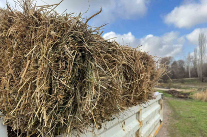 Üreticiye müjdeli haber: Saman fiyatları yarı yarıya geriledi