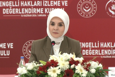 Bakan Göktaş: "Engelli Hakları İzleme ve Değerlendirme Kurulumuzun çalışmalarını sürdürebilmesi için iki alt çalışma grubu oluşturulacak"