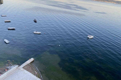 Müsilajın ardından Gemlik Körfezi’nde sevindiren görüntüler