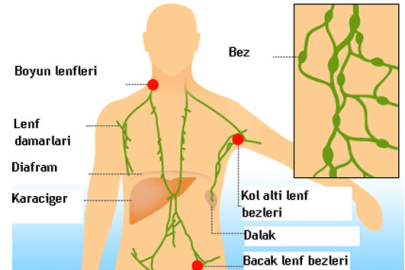 Uzmandan Lenf Bezi Uyarısı