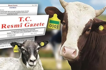 Hayvan küpeleme sisteminde yeni dönem