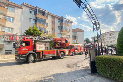 Yangında duygulandıran kurtarma: Anne kedi ve 2 yavrusu hayata döndürüldü