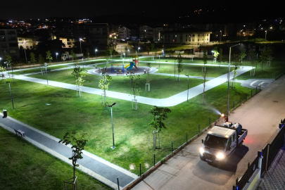SİNEK VE HAŞERELERE KARŞI YOĞUN MÜCADELE