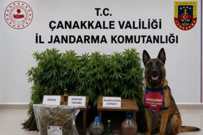 18 ilde uyuşturucuya büyük darbe