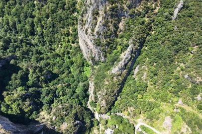 İşte Bursa'da kronik hastalıklara iyi gelen doğal harika