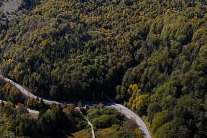 Bolu’da orman yasağı