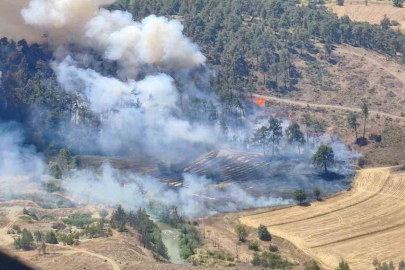 Bursa’da otluk alanda çıkan yangın ormana sıçradı