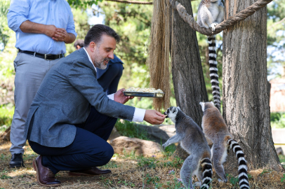 Başkan Vekili Biba’dan Hayvanat Bahçesi’ne ziyaret