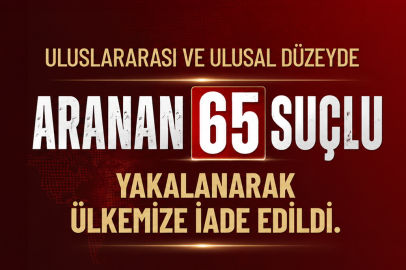 Uluslararası 65 suçlu yakalandı