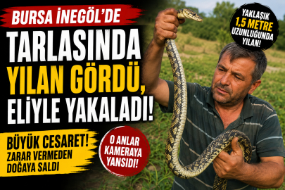 Çiftçinin cesareti herkesi korkuttu