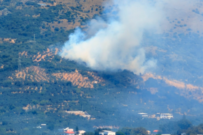 Marmara Adası'nda orman yangını başladı