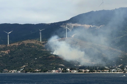 Marmara'da orman yangınına neden olan şüpheli gözaltına alındı