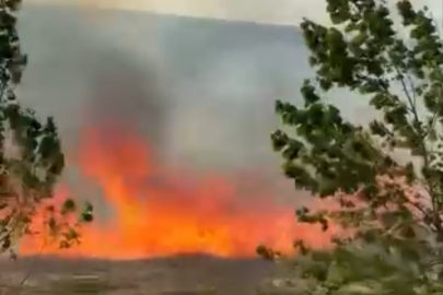 Bursa'da fabrikanın yanındaki arazide korkutan yangın