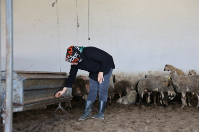 Elazığlı kadından büyük başarı