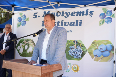 İznik’te 5. Maviyemiş Festivali